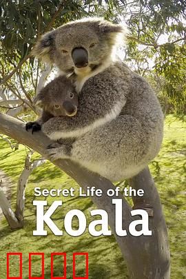 考拉的秘密生活第一季