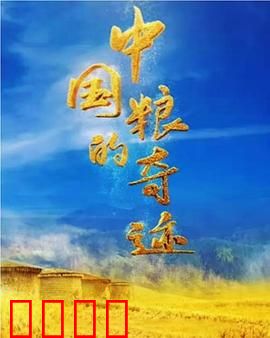 中国粮的奇迹