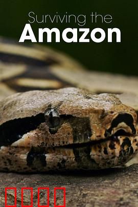 挑战亚马逊第一季