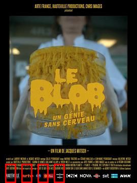 黏菌：无脑天才