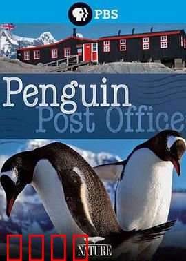 自然世界：企鹅邮局