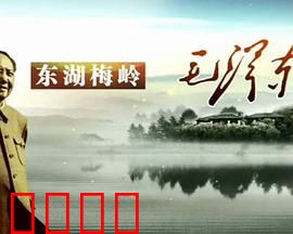 东湖梅岭毛泽东