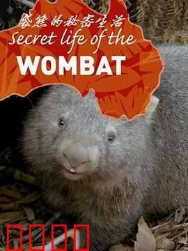 袋熊的秘密生活
