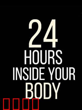 24小时人体大揭密