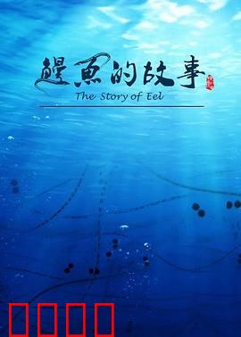 鳗鱼的故事