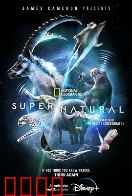 超凡动物奇观中配版