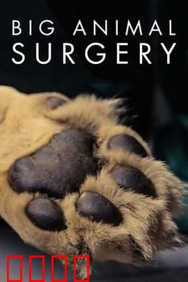 大型动物手术第一季