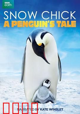 帝企鹅宝宝的生命轮回之旅