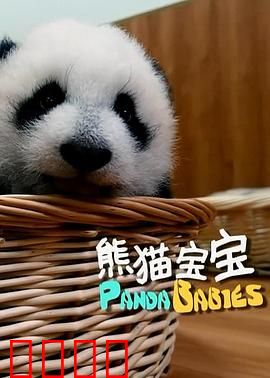 熊猫宝宝