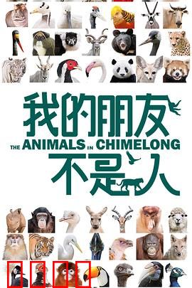 我的朋友不是人