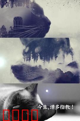 今生，请多指教