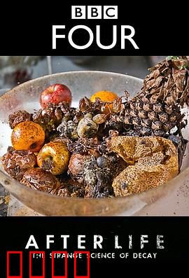 生命循环：奇异的腐烂科学