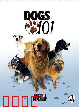 狗狗全纪录第一季