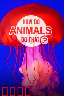 动物奇门功夫第一季