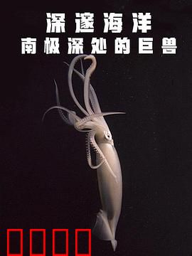 深邃海洋：南极深处的巨兽