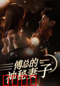 傅总的神秘妻子