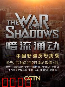 暗流涌动——中国新疆反恐挑战