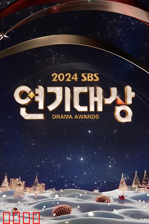 2024年SBS演技大赏