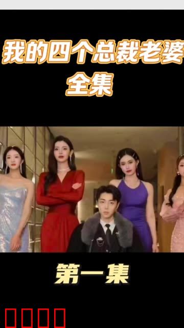 我的四个美女总裁老婆