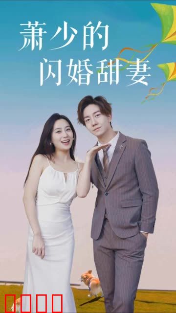 萧少的闪婚甜妻