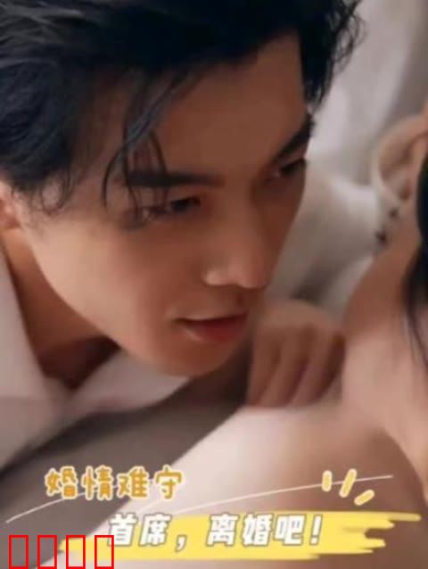 婚情难守：首席，离婚吧