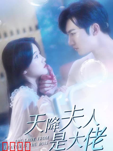 天降夫人是大佬