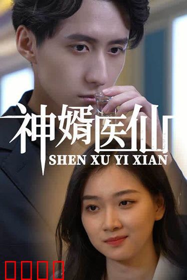 神婿医仙