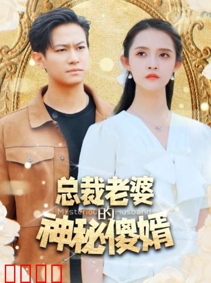 总裁老婆的神秘傻婿