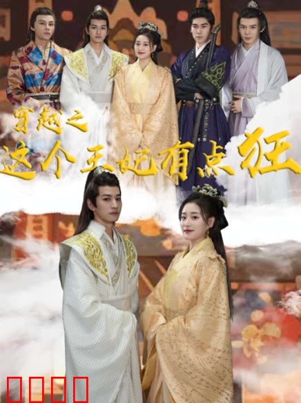 穿越之这个王妃有点狂