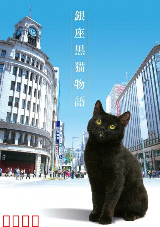 银座黑猫物语