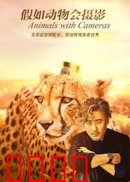 假如动物会摄影