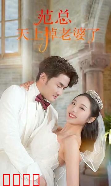 范总天上掉老婆了