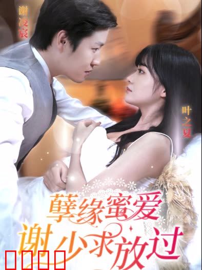 孽缘蜜爱谢少求放过