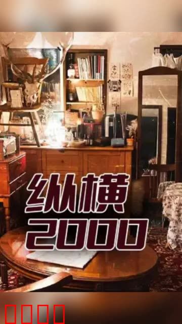 纵横2000