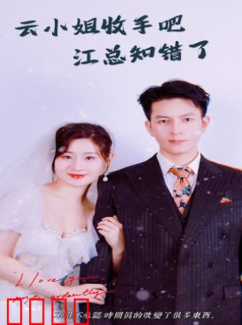 云小姐收手吧江总知错了