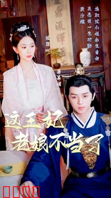 这王妃老娘不当了