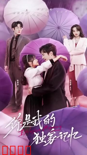 你是我的独家记忆