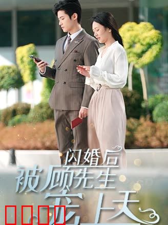 闪婚后被顾先生宠上天