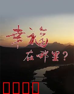 幸福在哪里：推动生活的引擎