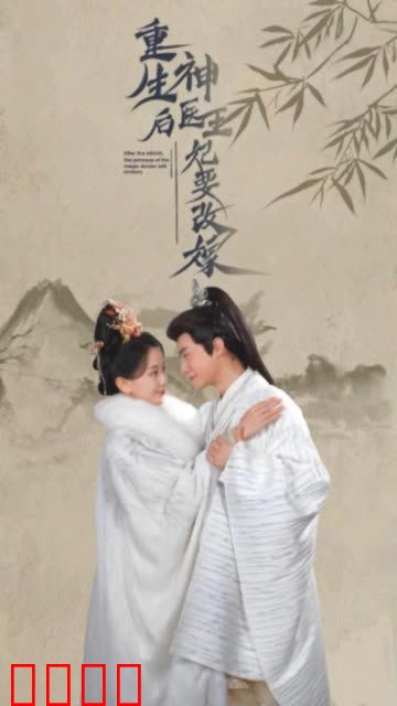 重生后神医王妃要改嫁