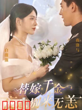 替嫁千金夜总别来无恙