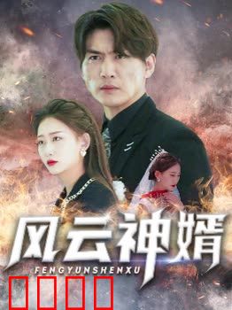 风云神婿