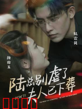 陆总别虐了，夫人已下葬