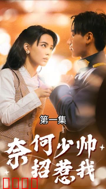 奈何少帅招惹我