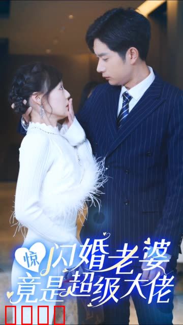 惊闪婚老婆竟是超级大佬