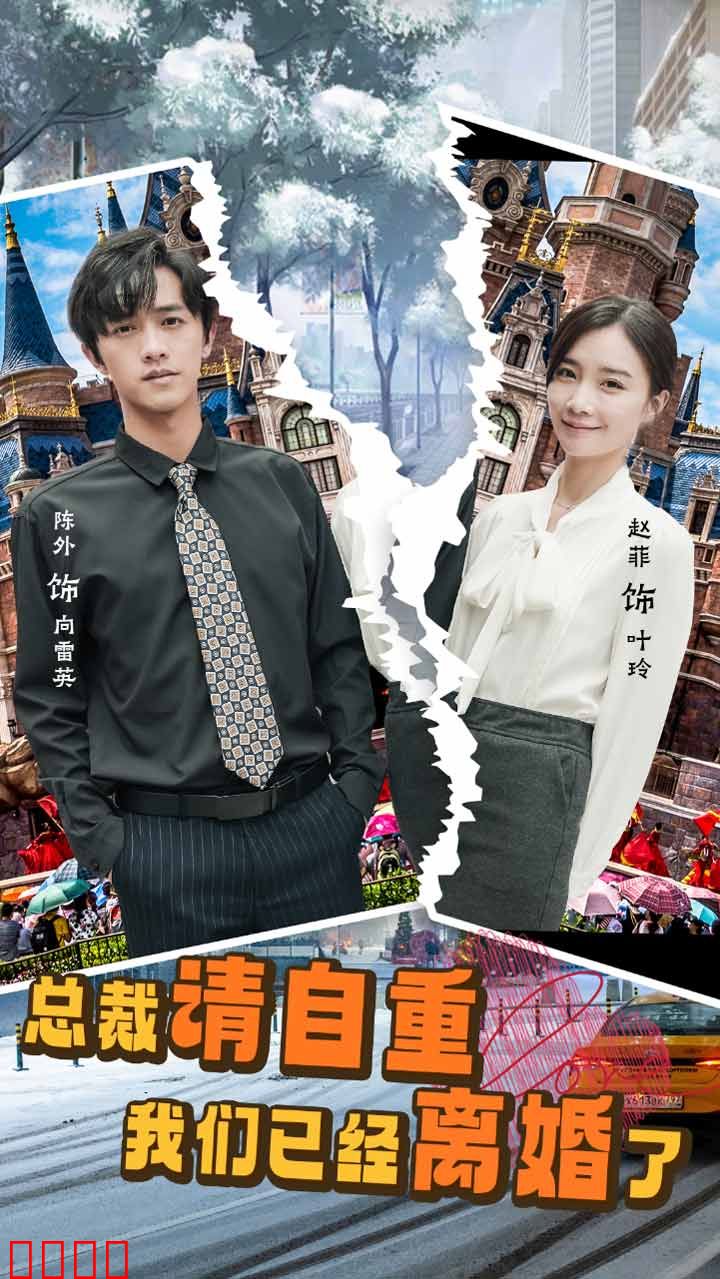 总裁请自重我们已经离婚了