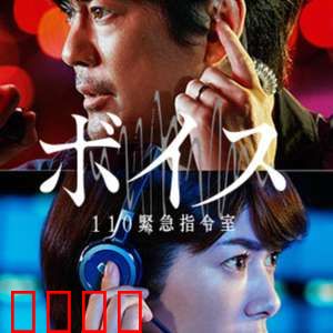 VOICE 110紧急指令室
