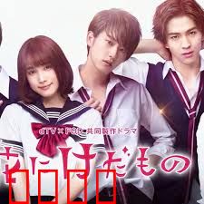 花予野兽 第一季