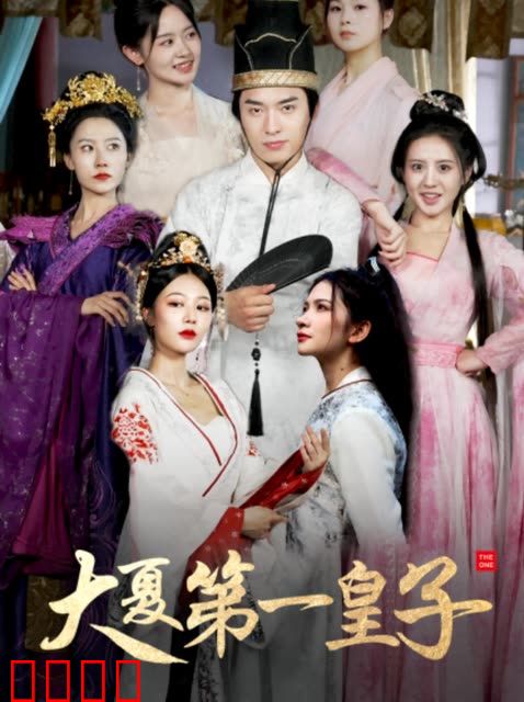 大夏第一皇子