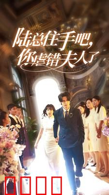 陆总住手吧，你虐错夫人了